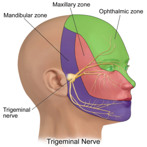 trigeminal nerve 24-7 medcare